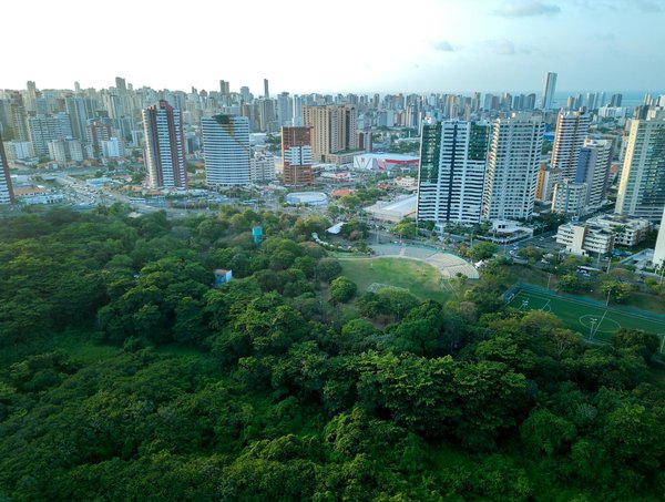 Reforestation et agriculture: comment concilier les deux?