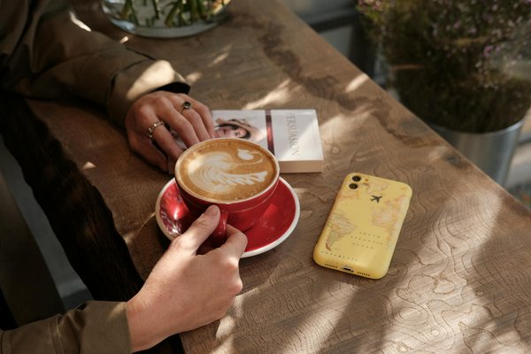 Conseilspourecrireunroman